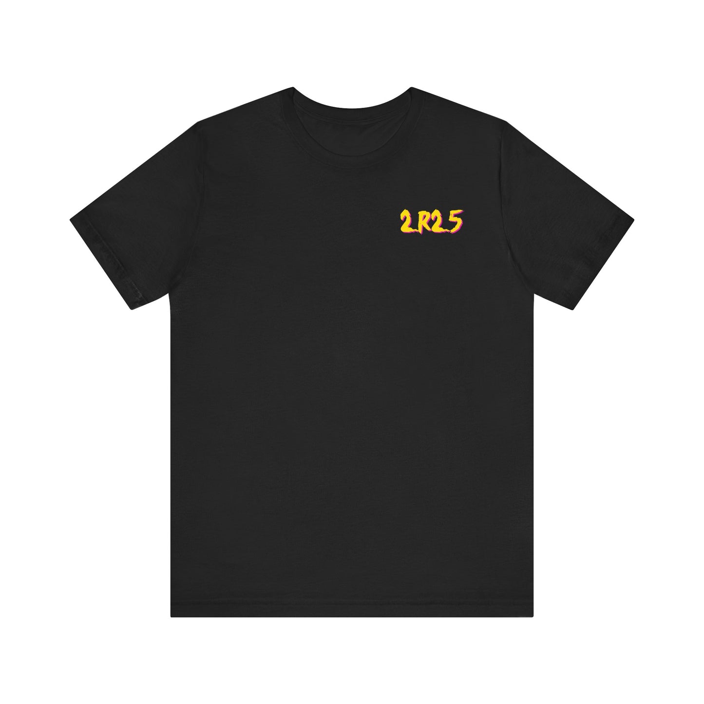 Diablo Canyon 2R25 Outage tee