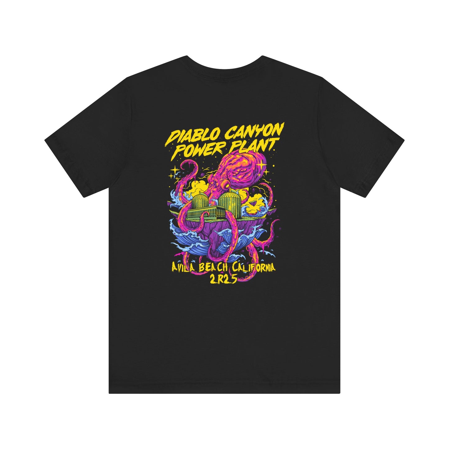 Diablo Canyon 2R25 Outage tee