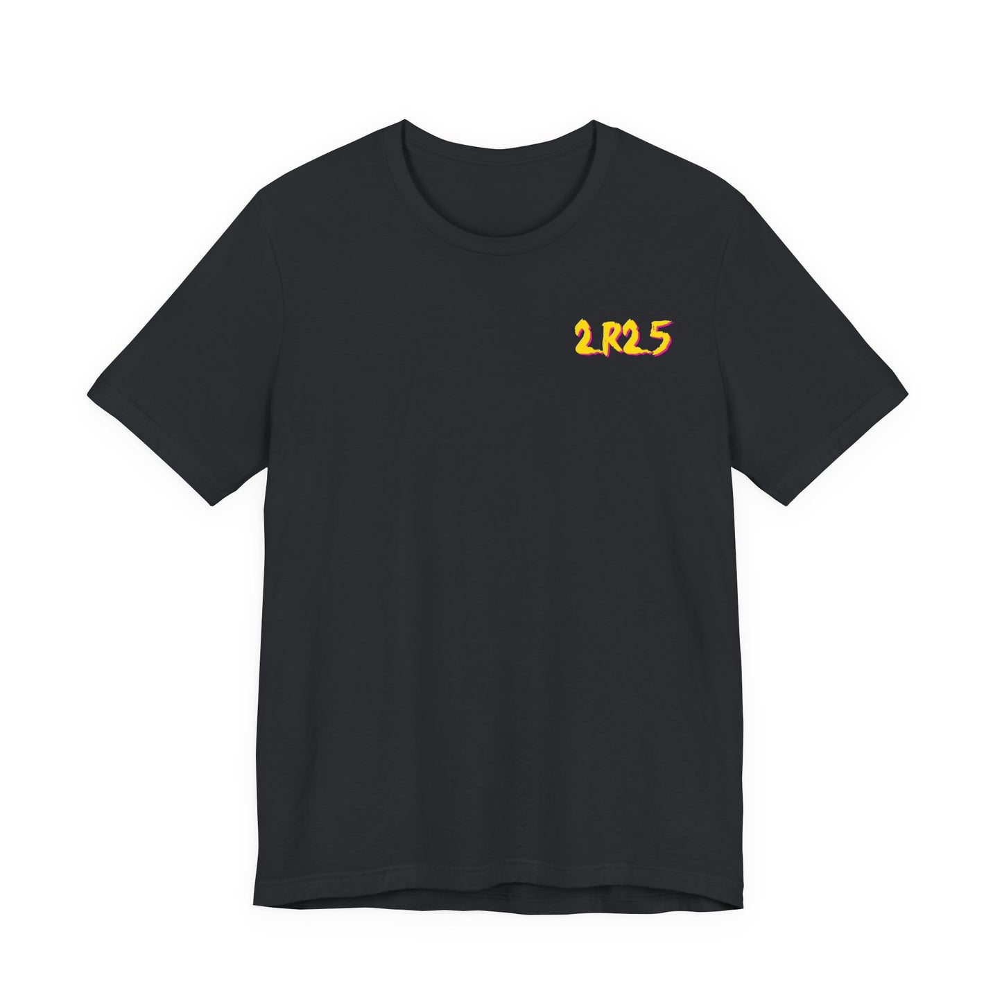 Diablo Canyon 2R25 Outage tee