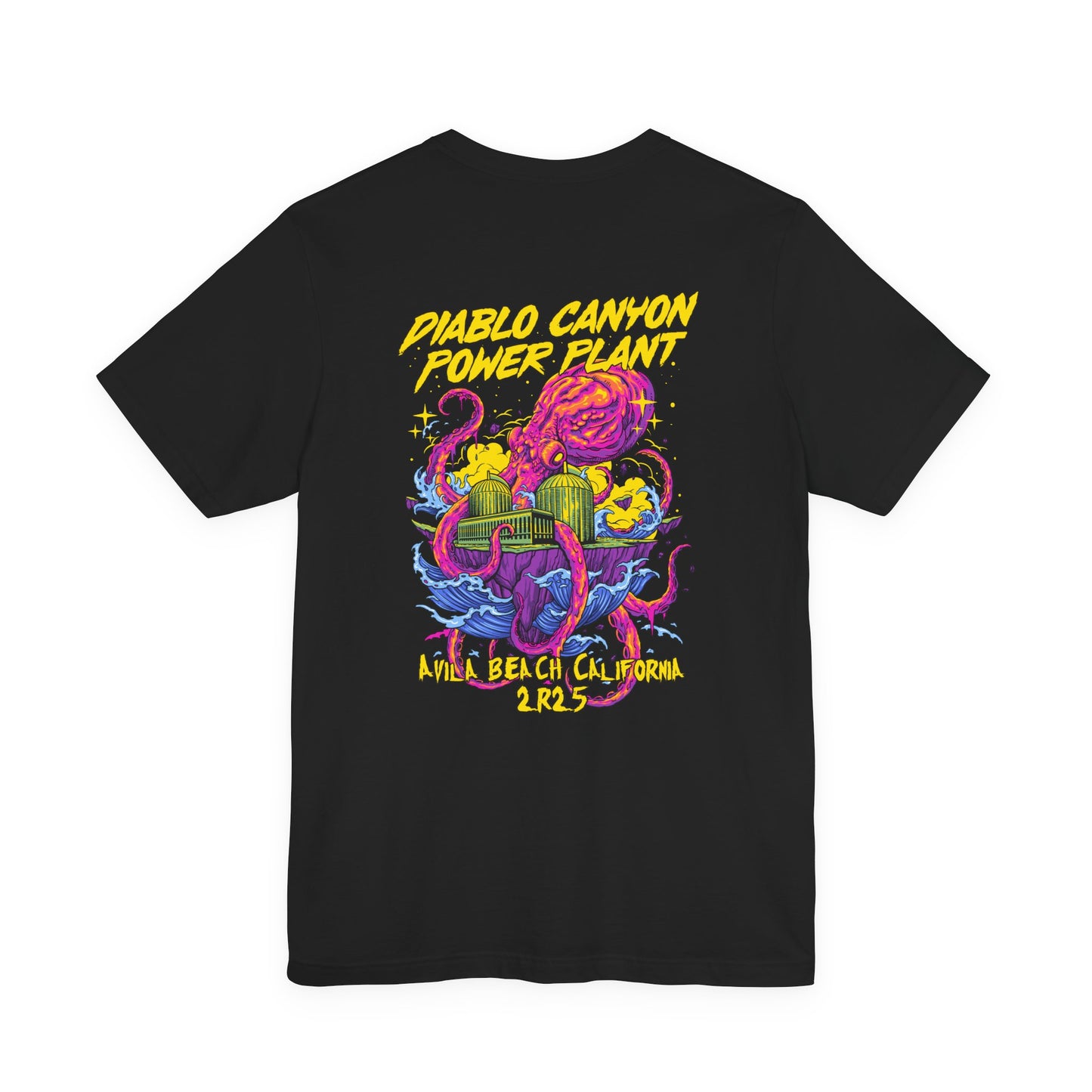 Diablo Canyon 2R25 Outage tee