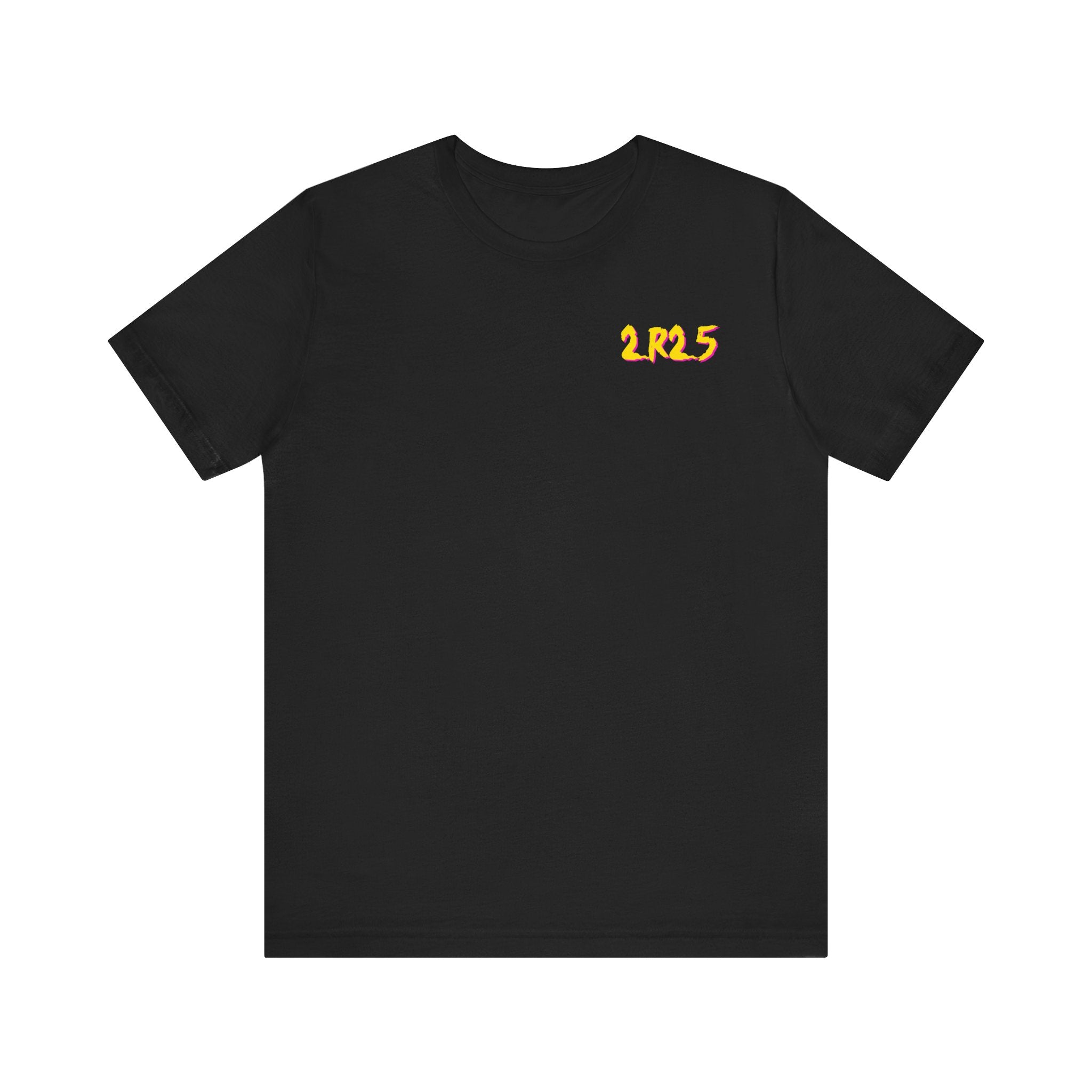 Diablo Canyon 2R25 Outage tee
