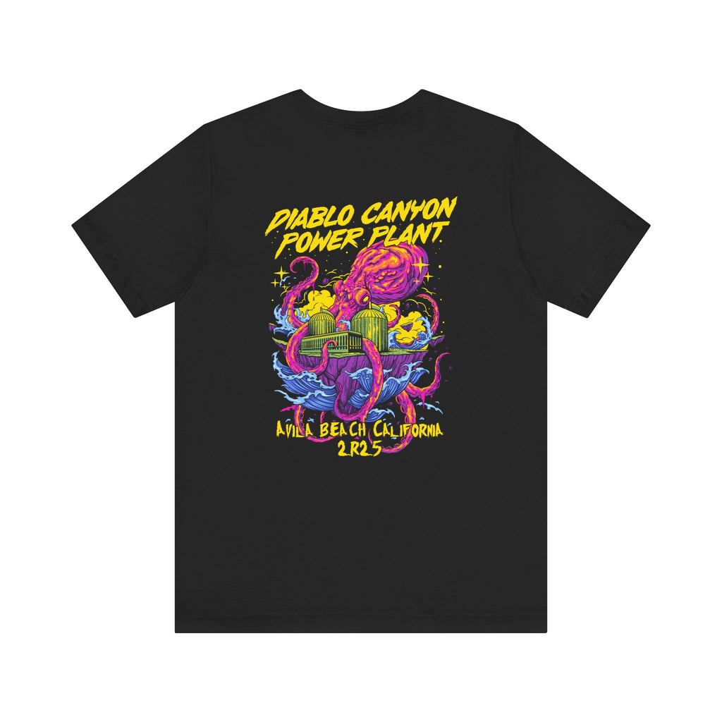 Diablo Canyon 2R25 Outage tee