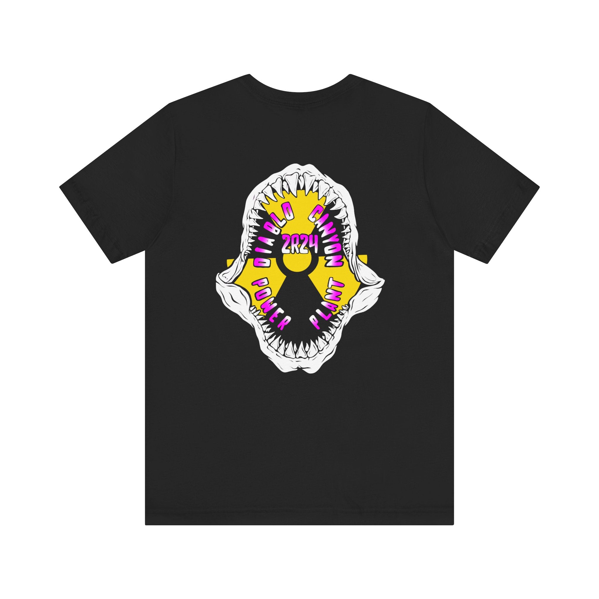 2R24 Outage Tee