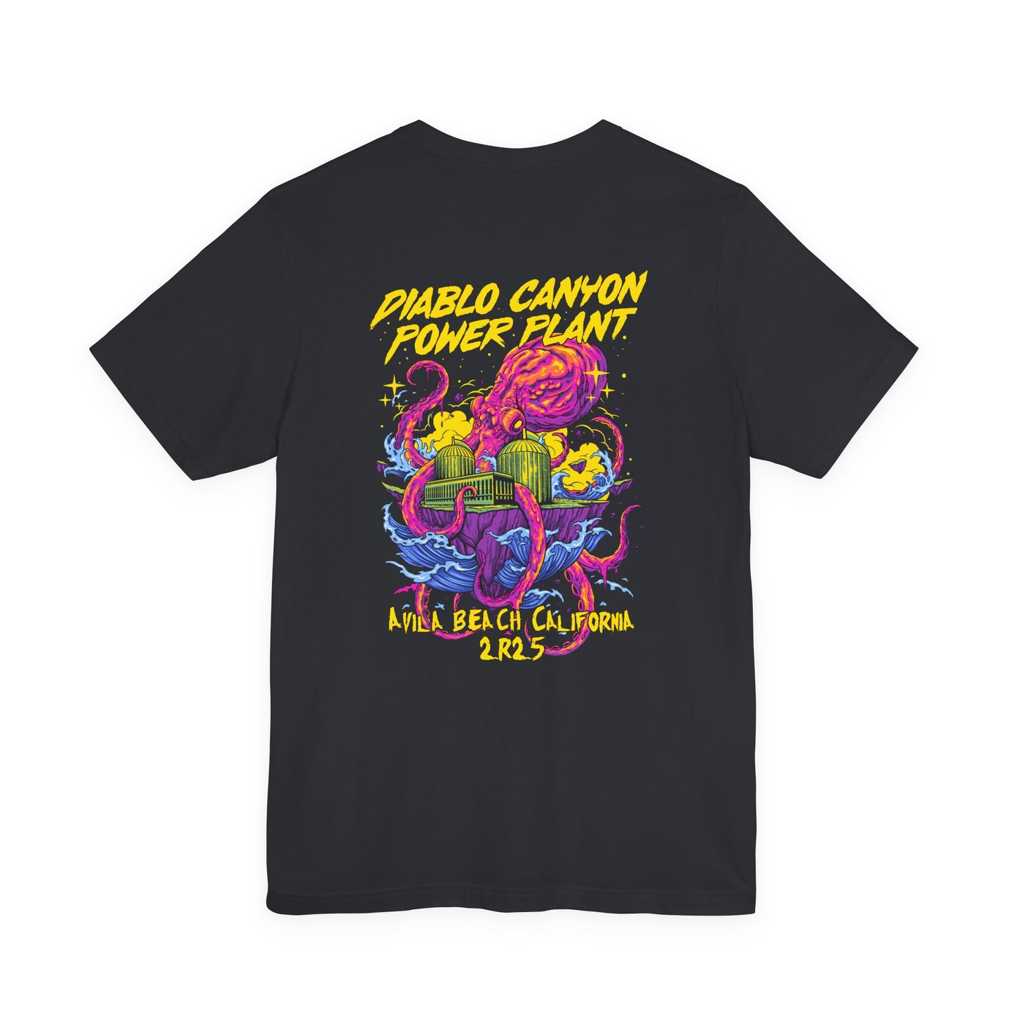 Diablo Canyon 2R25 Outage tee