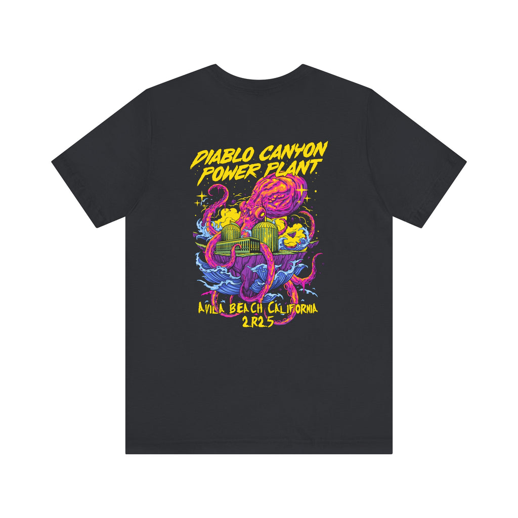 Diablo Canyon 2R25 Outage tee