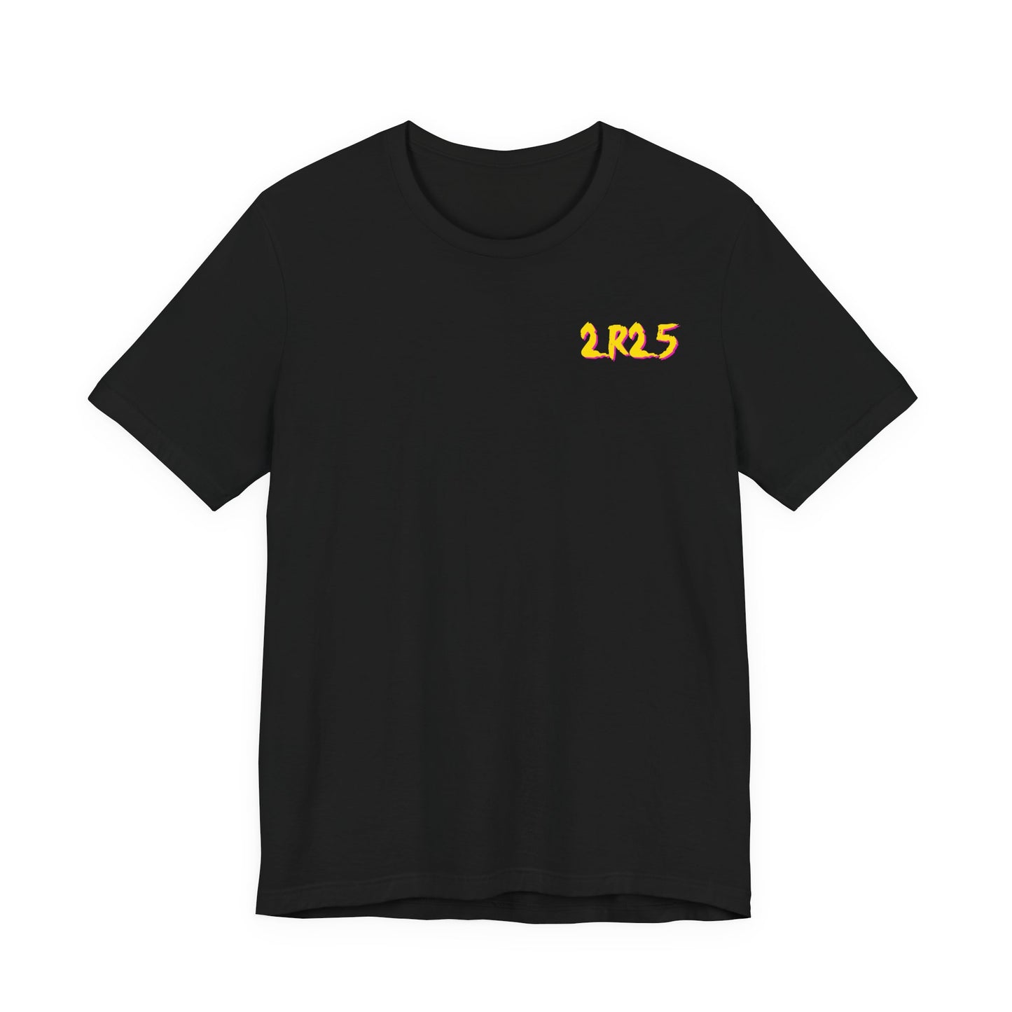 Diablo Canyon 2R25 Outage tee